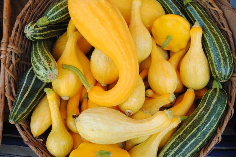 Kurv med gule squash, krum hals squash, sommersquash, zucchini