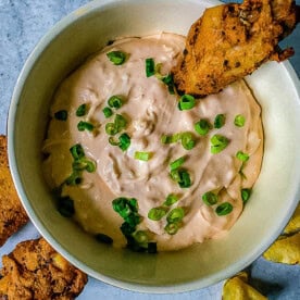 primary image for Nashville HOT Chicken Wing Dip