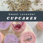 Pinterest pin image for sweet lavender cupcakes