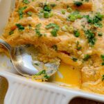 featured image for Spicy Chicken Enchiladas Recipes
