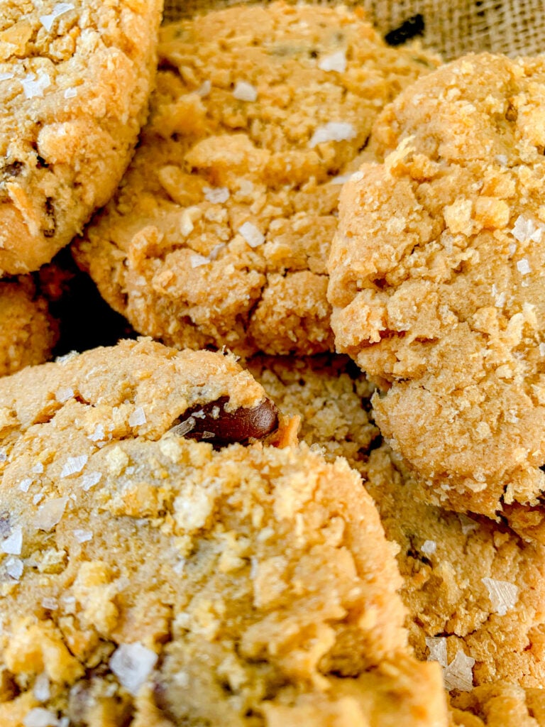 Pork Rind and Peanut Butter Chocolate Chip Cookies Classic Southern