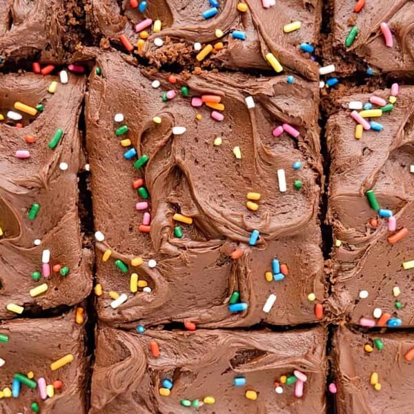 Frosted chocolate sheet pan cake with sprinkles.