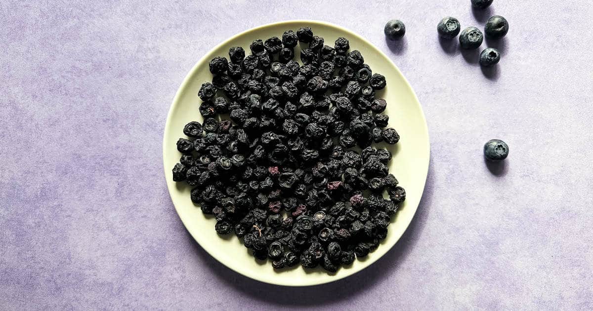 Air fryer dehydrated blueberries on a white plate on a purple backdrop surrounded by fresh blueberries.