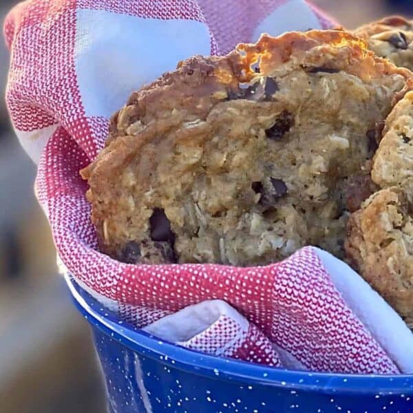 A blue speckled bowl lined with a red and white cloth holds several oatmeal chocolate chip cookies.