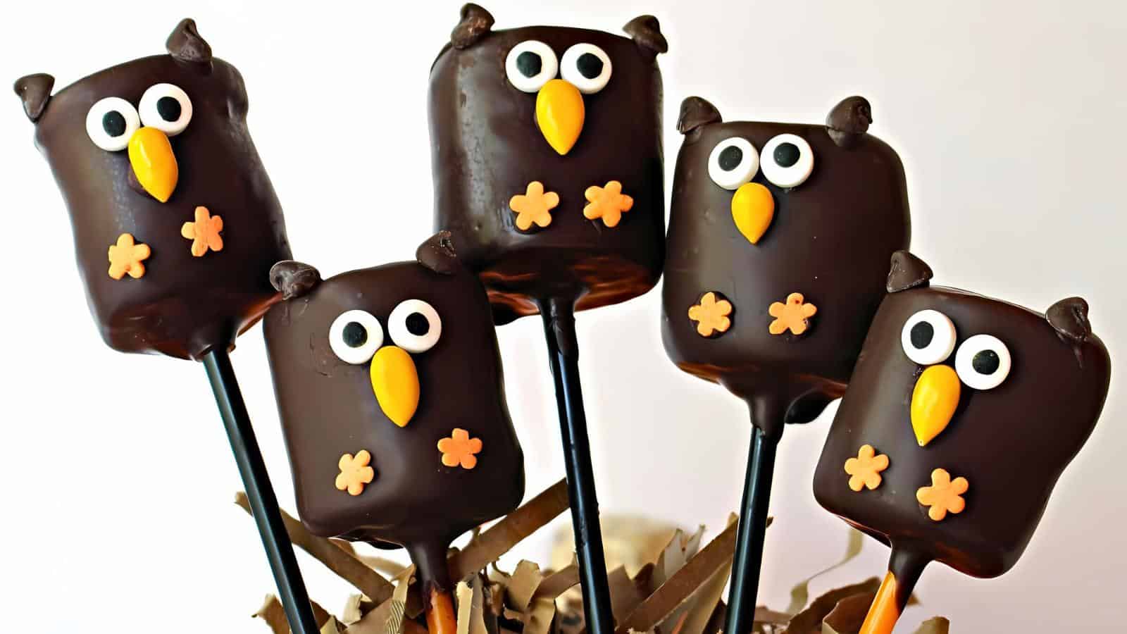 Five owl-themed marshmallow pops are covered in chocolate with large candy eyes, orange candy beaks, and chocolate wafer ears. They are set on sticks and displayed upright in a decorative arrangement.
