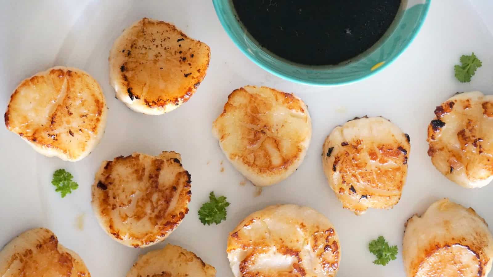 The image features seared scallops on a white plate, accompanied by a small bowl of dark sauce and garnished with parsley sprigs.