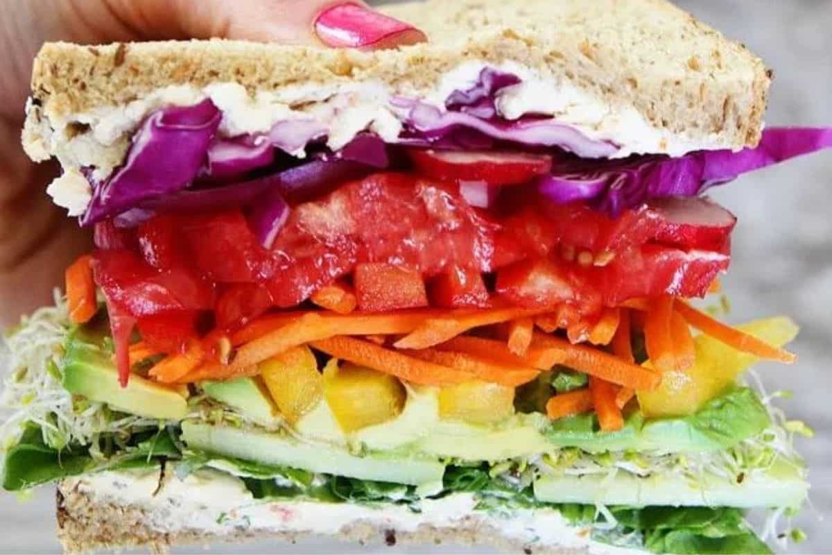 A hand with pink nails holds a colorful vegetable sandwich made with whole grain bread. The sandwich is filled with layers of purple cabbage, tomato slices, shredded carrots, avocado, yellow bell pepper, and assorted greens.