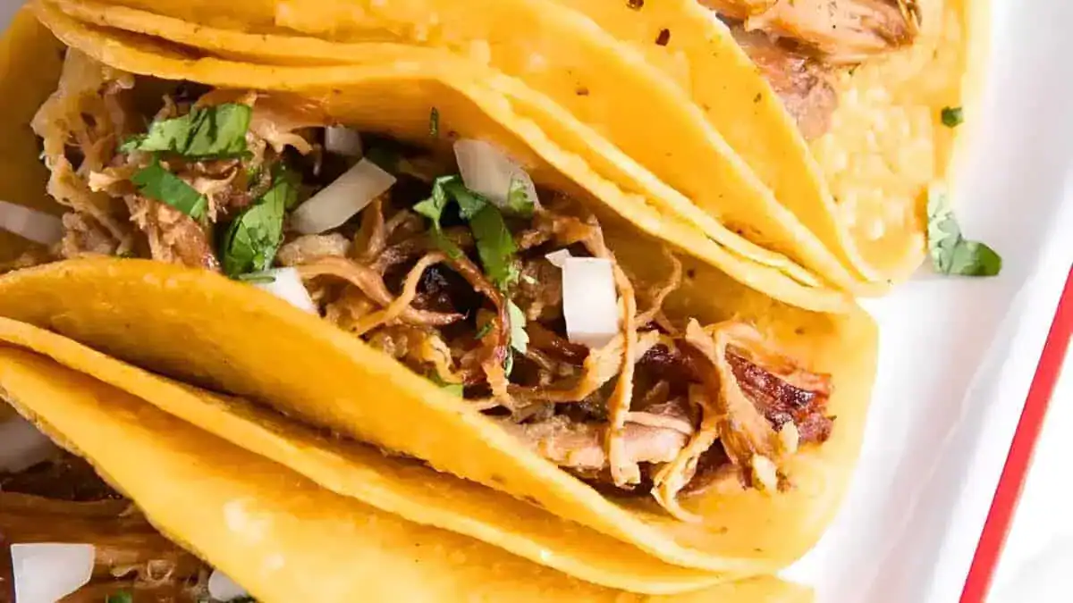 Close-up of three tacos filled with shredded meat, chopped onions, and cilantro, positioned side by side on a white plate with a red rim. The tacos have golden, soft tortillas and are garnished attractively, highlighting the fresh ingredients.