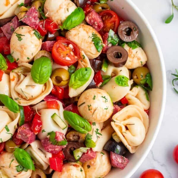 Tortellini pasta salad in a bowl with cherry tomatoes, olives, mozzarella balls, salami slices, red peppers, and basil leaves.