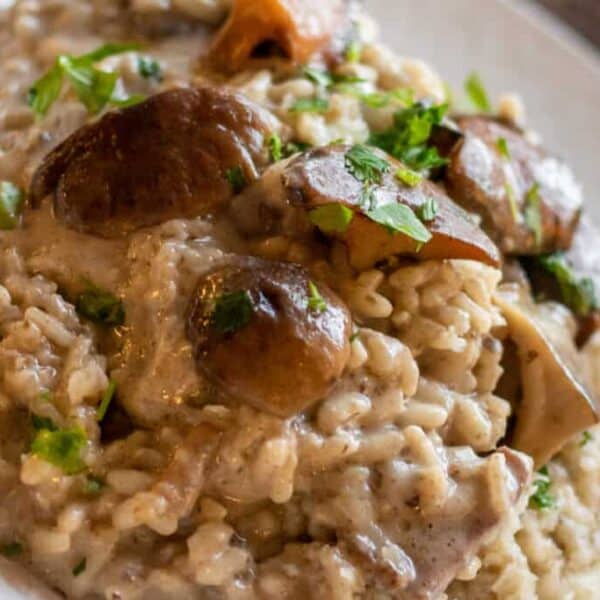 Creamy risotto with mushrooms, chopped parsley sprinkled on top, served on a white plate.