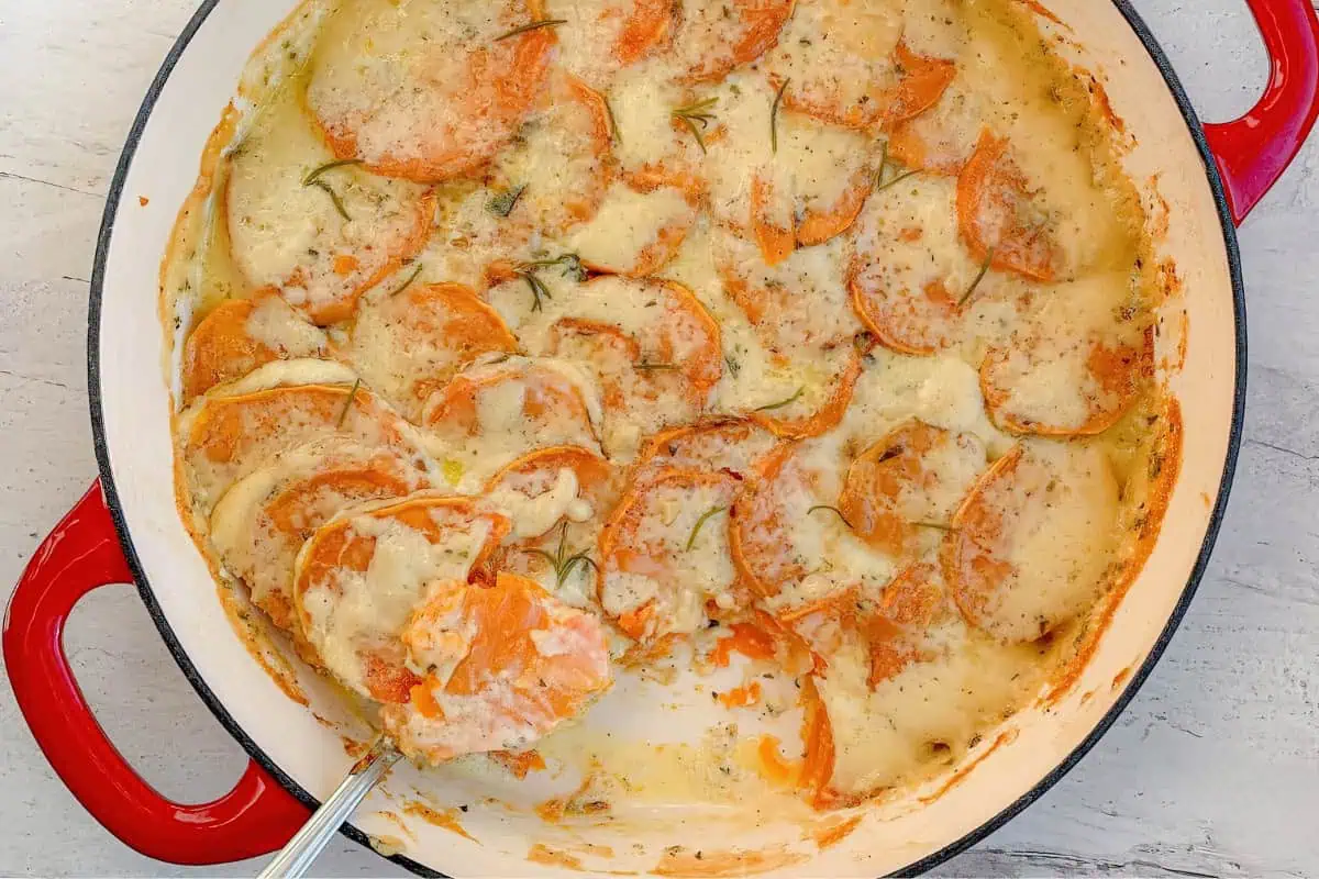 A red-handled baking dish filled with creamy, baked sweet potato gratin. Sliced sweet potatoes are layered and cooked in a white, cheesy sauce with hints of herbs. A serving spoon has scooped out a portion, revealing the creamy texture of the gratin.