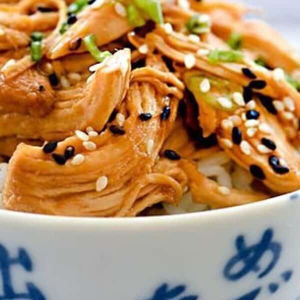 A patterned bowl filled with white rice, topped with shredded teriyaki chicken, sesame seeds, and chopped green onions.