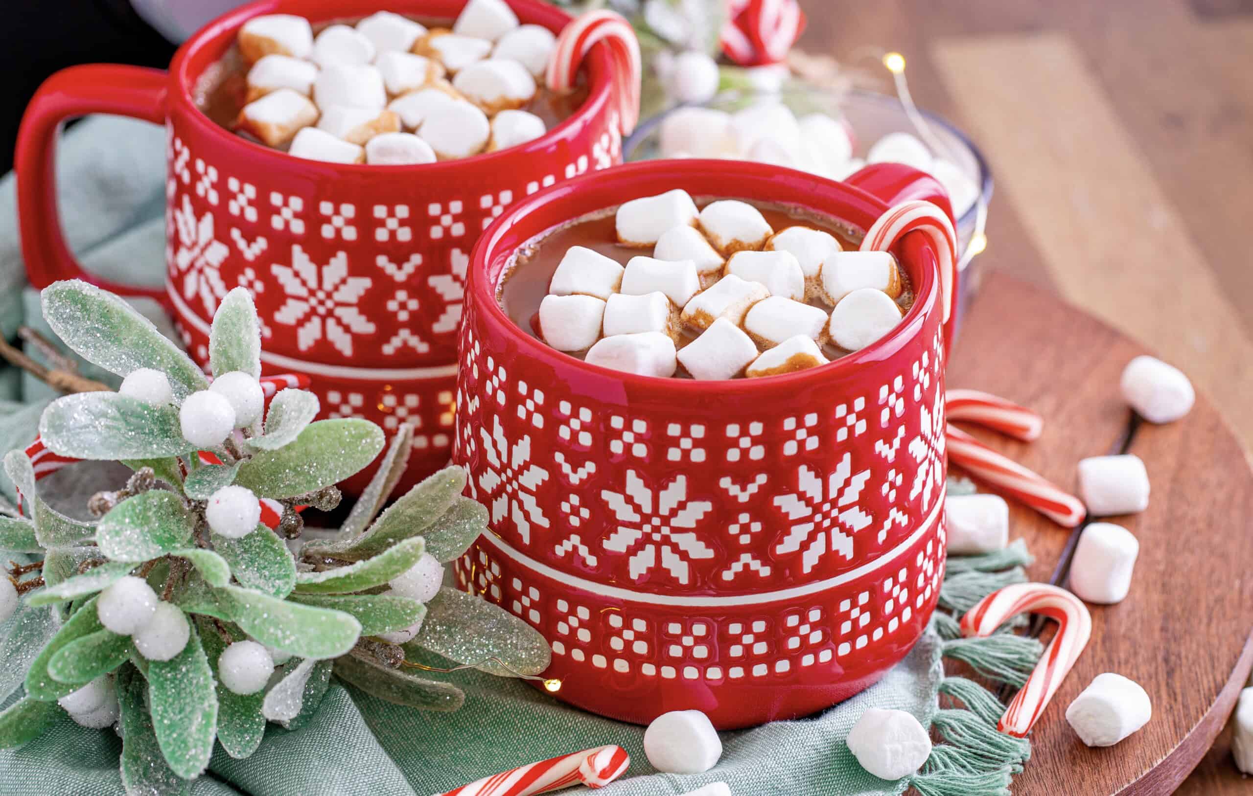 The image features two red mugs with white snowflake patterns, each filled with hot chocolate and topped with marshmallows. Candy canes and a frosted plant are arranged on a tray around the mugs.