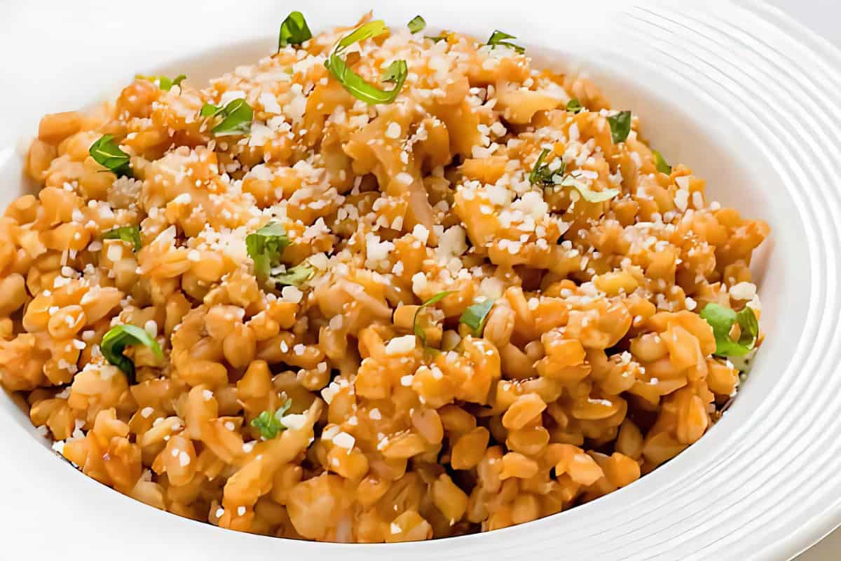 A close-up of a white plate filled with creamy orzo pasta, garnished with grated cheese and fresh green herbs.