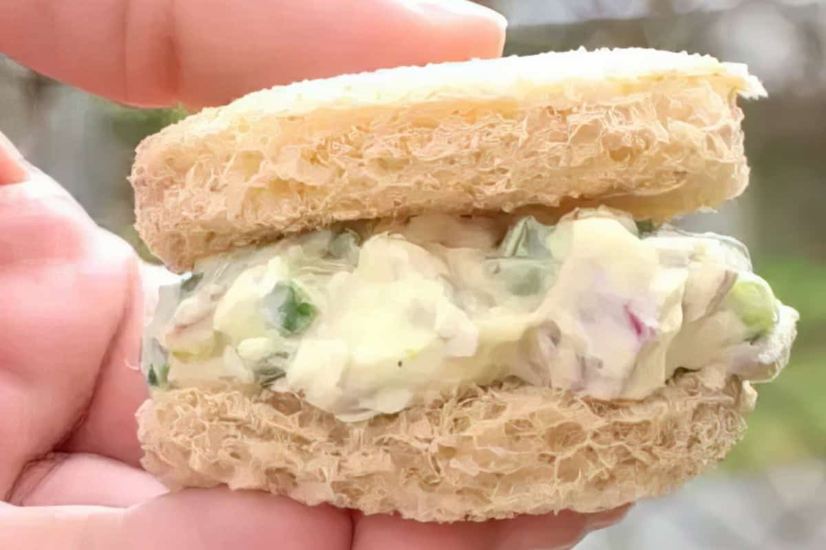 A close-up of a hand holding a sandwich made with two loofah slices as bread. The filling appears creamy, with visible pieces of herbs and vegetables. The background is blurred.