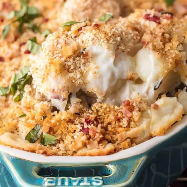 A casserole dish filled with baked macaroni and cheese topped with golden breadcrumbs, and a spoon lifting out a cheesy serving.