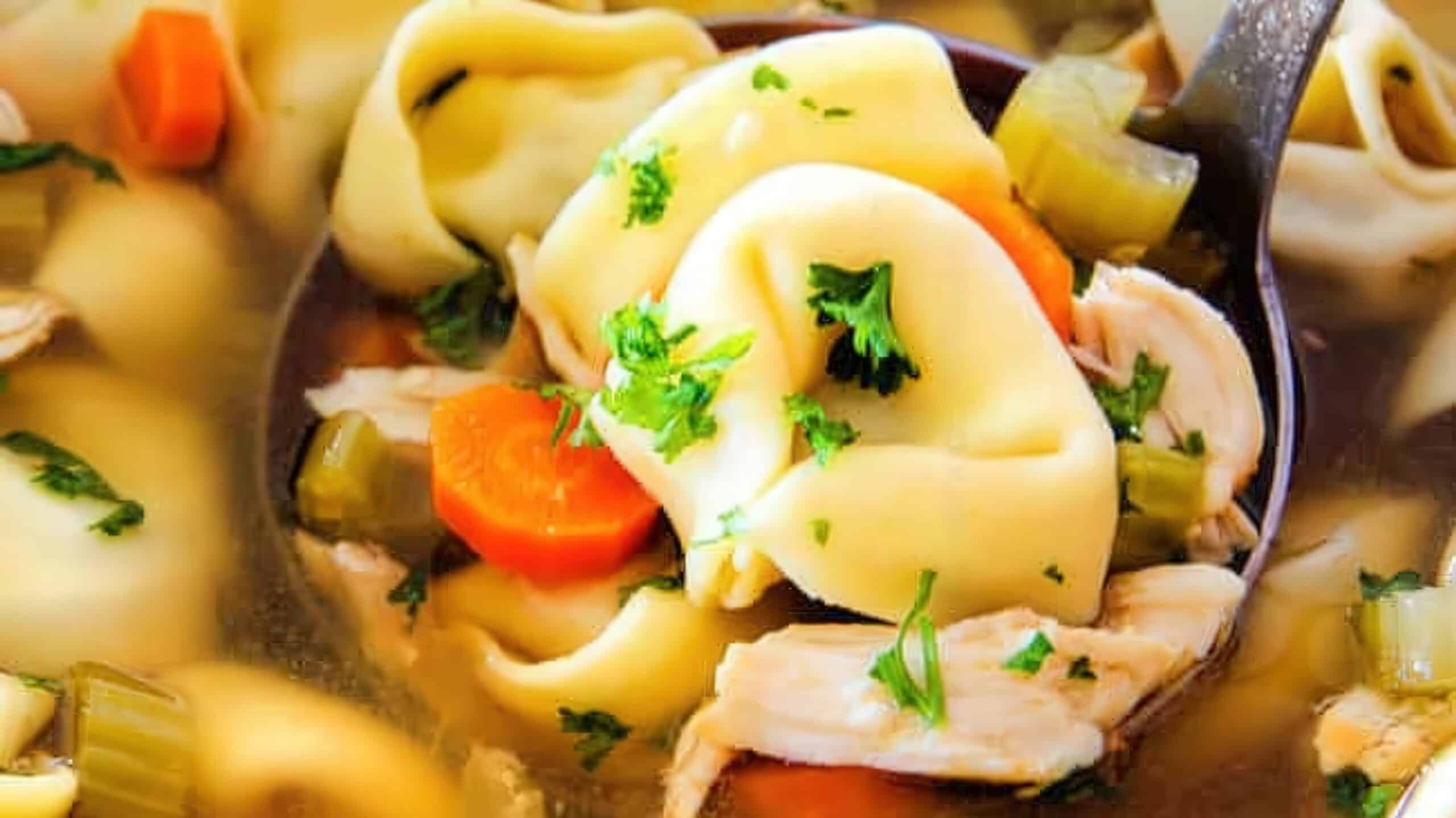 Close-up of a spoonful of hearty chicken tortellini soup, featuring tortellini pasta, sliced carrots, celery, and shredded chicken, garnished with fresh parsley in a broth.