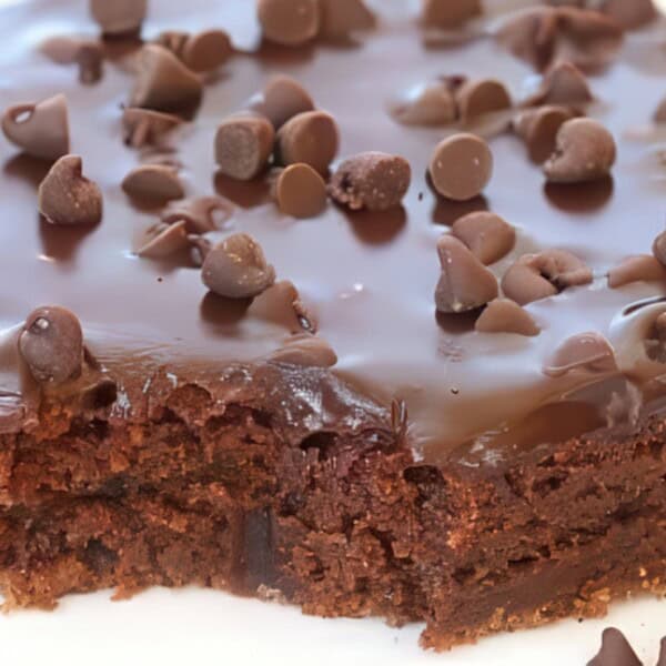 A chocolate brownie topped with chocolate chips on a white plate, with a corner missing.