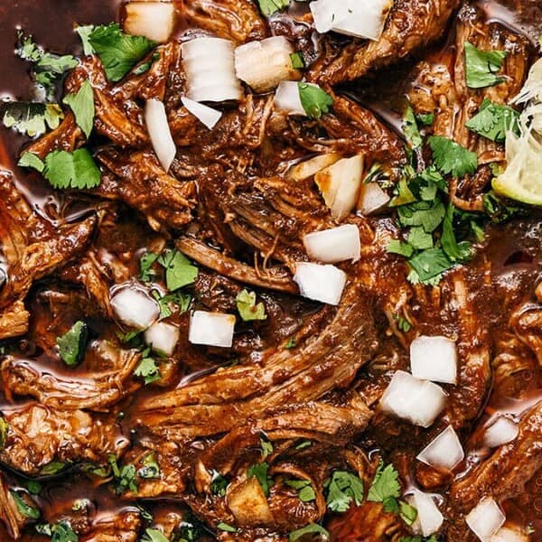 A bowl of birria stew garnished with chopped onions and cilantro. A silver spoon is on the side, and a lime wedge rests on the edge. The stew has a rich, reddish-brown color with tender, shredded meat.