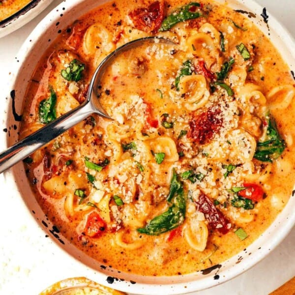 The image shows a bowl of creamy pasta containing spinach, sun-dried tomatoes, and grated cheese. It is garnished with herbs, and a spoon is resting in the bowl.