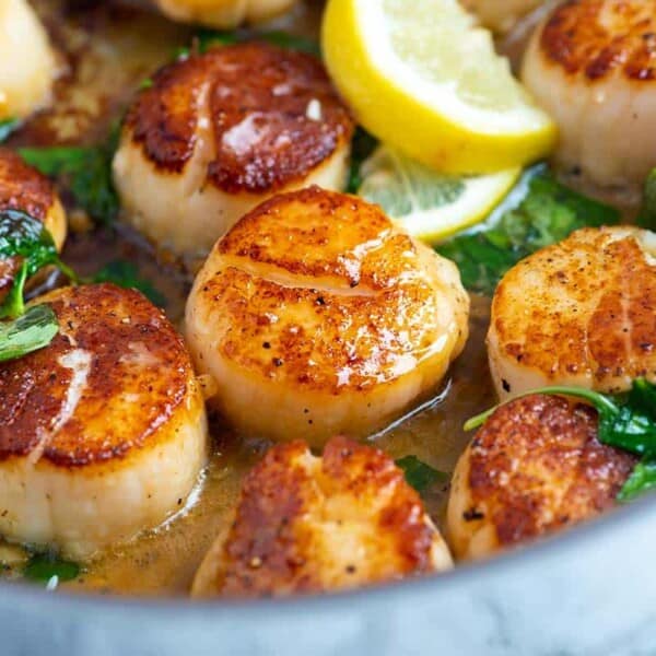Close-up of seared scallops in a pan with lemon slices and spinach. The golden brown scallops glisten with sauce.