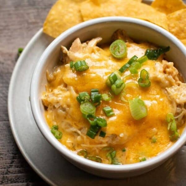 A cup filled with creamy dip topped with chopped green onions, surrounded by tortilla chips on a plate.