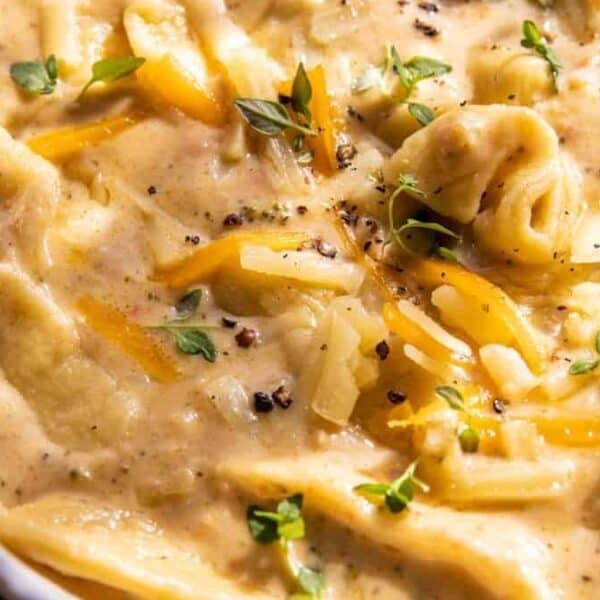 A bowl of creamy soup with chunks of chicken, dumplings, shredded cheese, black pepper, and green herbs on top.