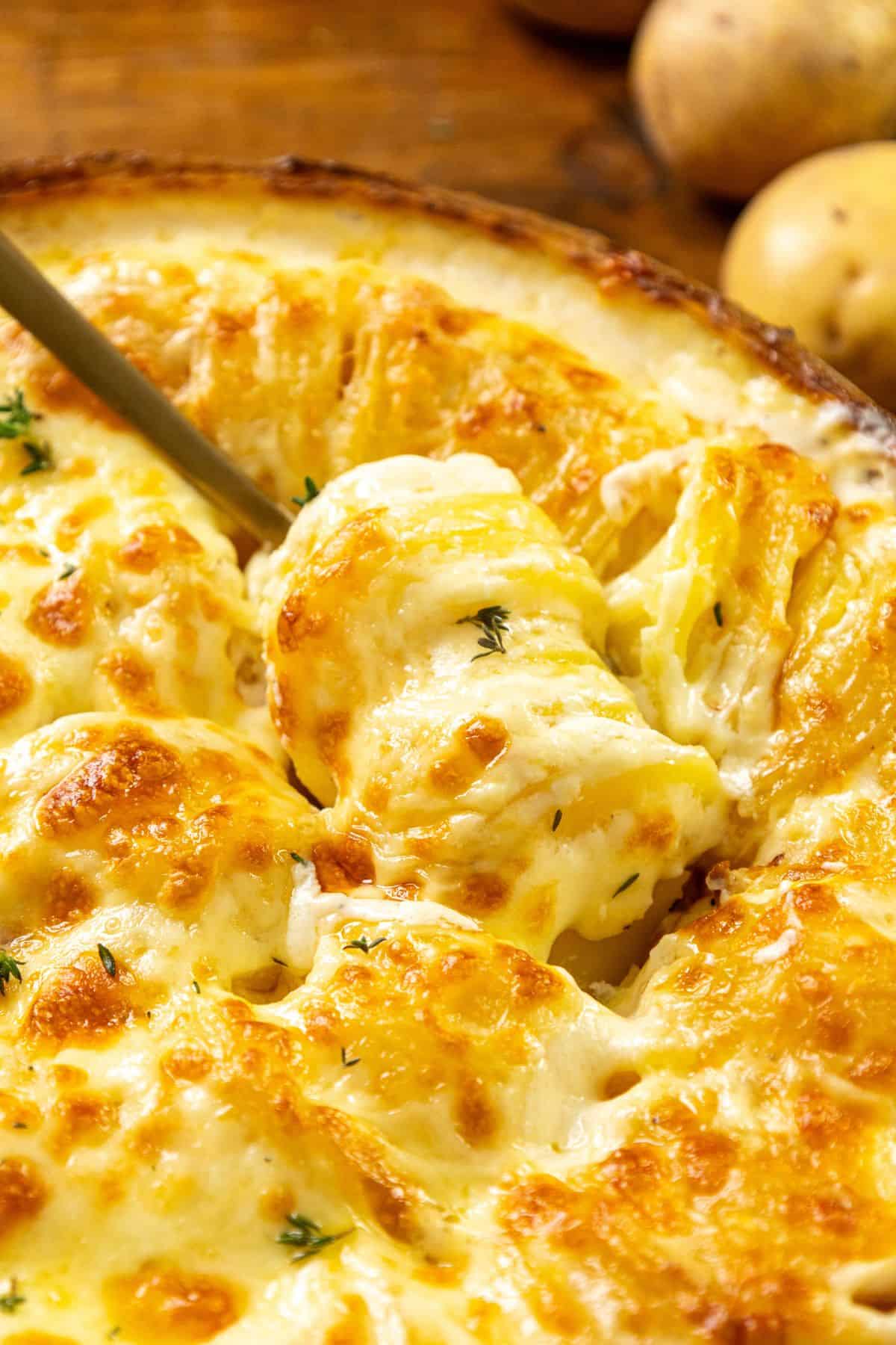 Close-up of cheesy scalloped potatoes in a baking dish, with a serving spoon lifting a creamy, golden portion.